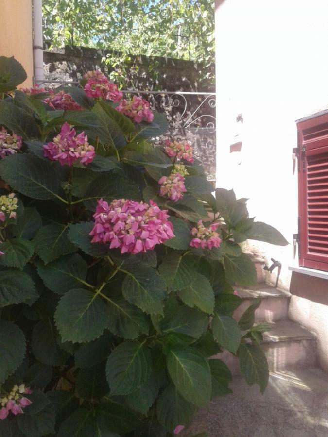 דירות Carrodano Inferiore Monolocale Per Coppia מראה חיצוני תמונה